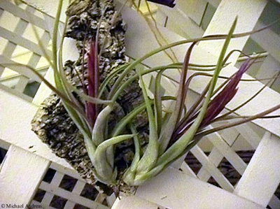 [����]��ؿ����������