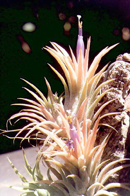 [����]��ؿ����������