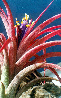 [����]��ؿ����������