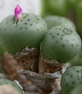 [����]��׶����---55¥��ʼ������ͨ��---