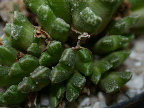 [����]��׶����---55¥��ʼ������ͨ��---