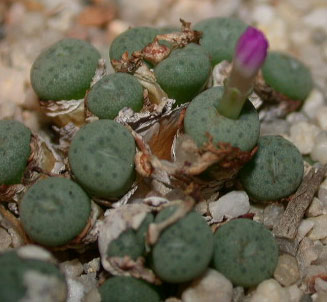 [����]��׶����---55¥��ʼ������ͨ��---