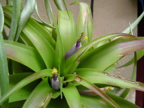 Rachel MM����....�̾�������ϲ���ޣ�