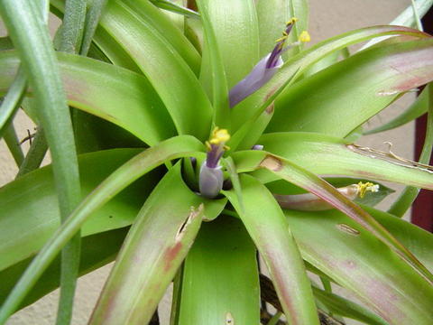 Rachel MM����....�̾�������ϲ���ޣ�