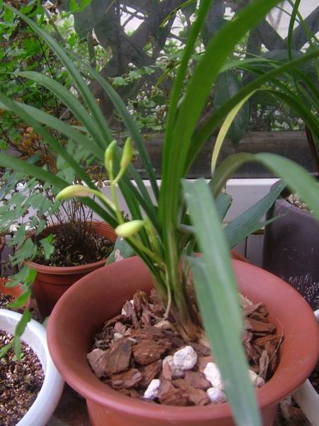 ���꿪���Ĺ���