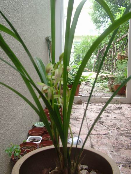 ���꿪���Ĺ���