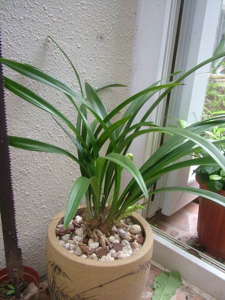 ���꿪���Ĺ���