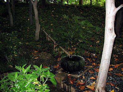 ��һ�ƣ���һ��������Ŀ��������˳�