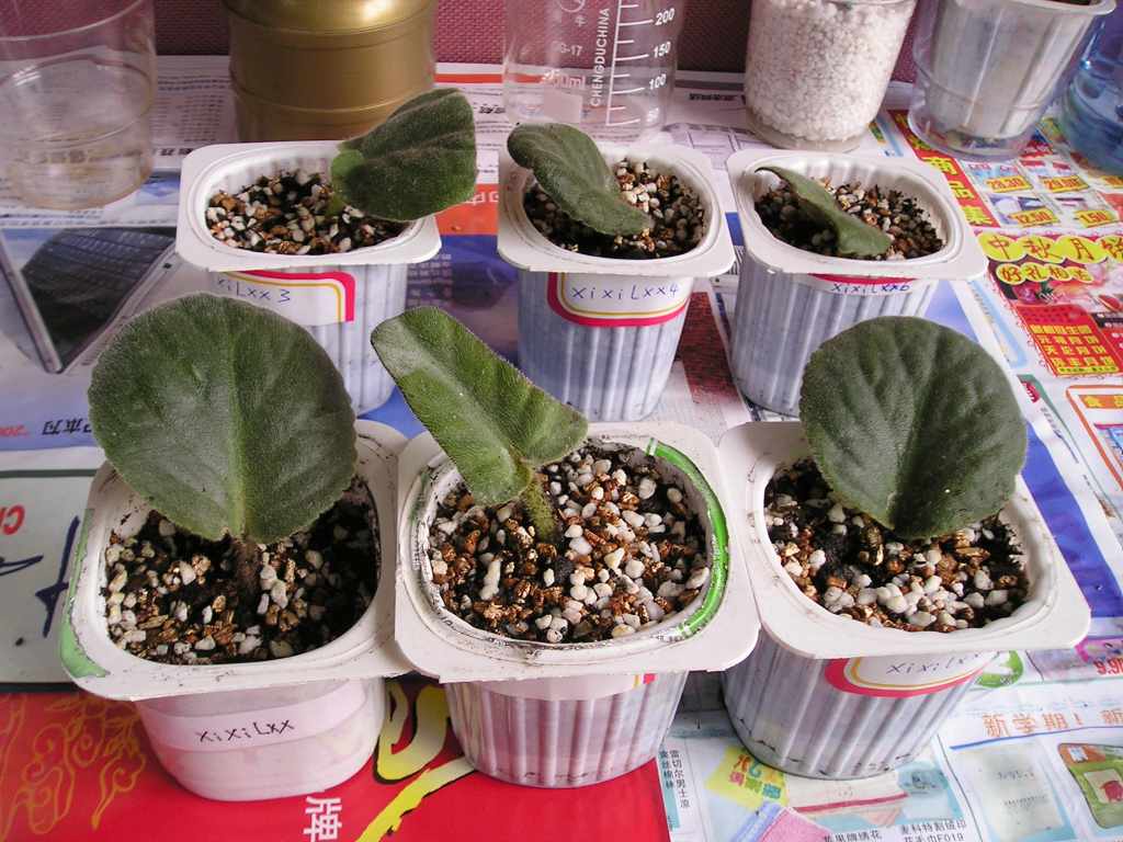 �е����......