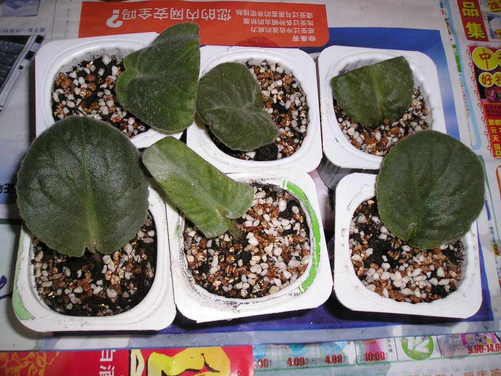 �е����......