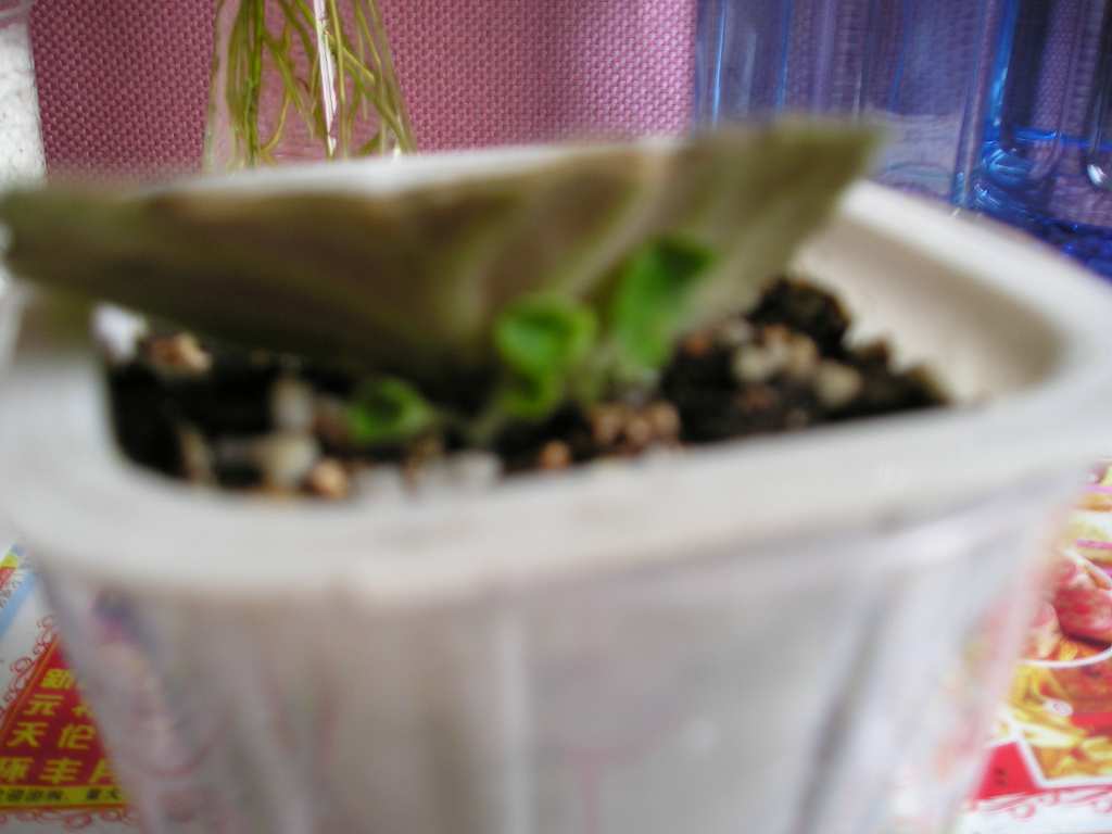 �е����......