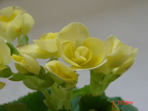 �ҵ�õ�庣��