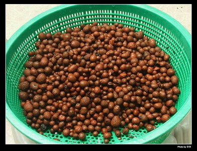 �ҵ�������������