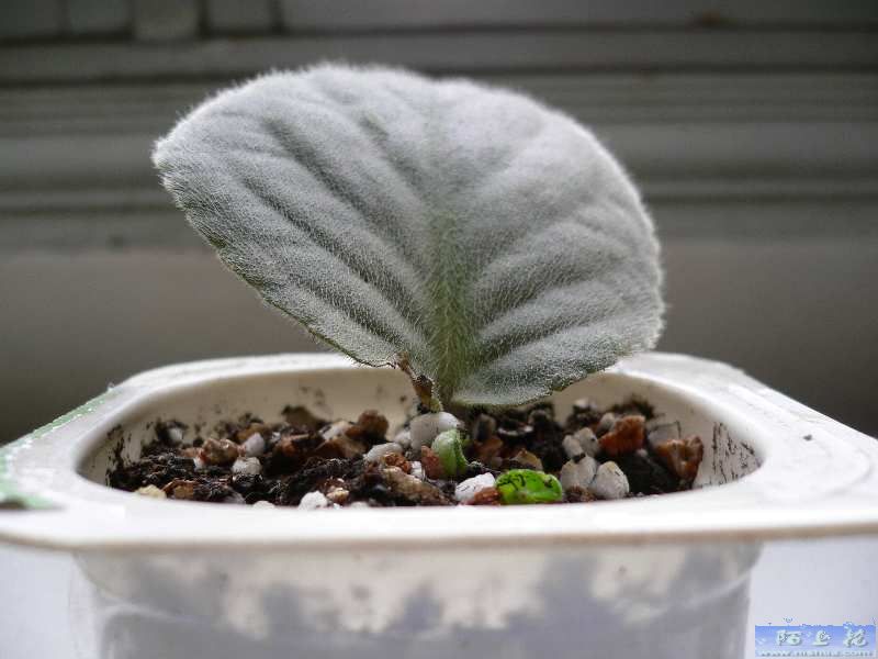 �����е㸻�ˣ���������ũ�ı�ô����........