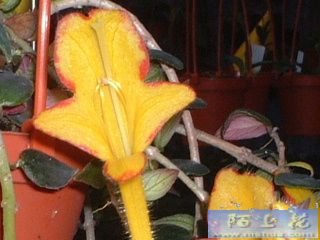 �~�~�~�~�~�~�~�~�~�~�~�~�~�~�~�~�~�~�~�~�~�~�~�~�~�~