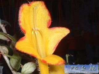 �~�~�~�~�~�~�~�~�~�~�~�~�~�~�~�~�~�~�~�~�~�~�~�~�~�~