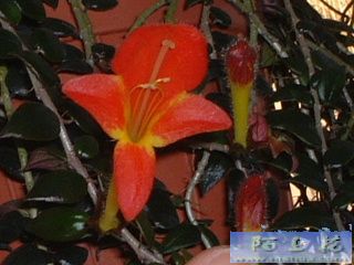 �~�~�~�~�~�~�~�~�~�~�~�~�~�~�~�~�~�~�~�~�~�~�~�~�~�~