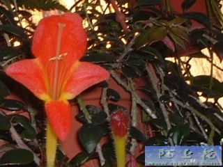 �~�~�~�~�~�~�~�~�~�~�~�~�~�~�~�~�~�~�~�~�~�~�~�~�~�~