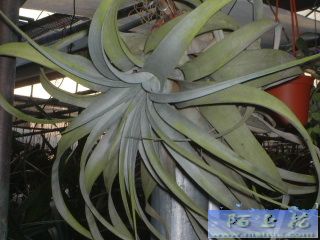 [����]��ؿ����������