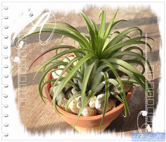 [����]������������������(P9�к���ζ��Ŷ����)