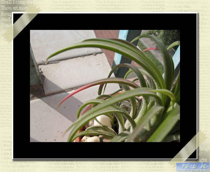 [����]������������������(P9�к���ζ��Ŷ����)