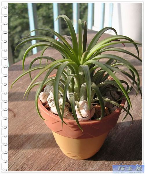 [����]������������������(P9�к���ζ��Ŷ����)