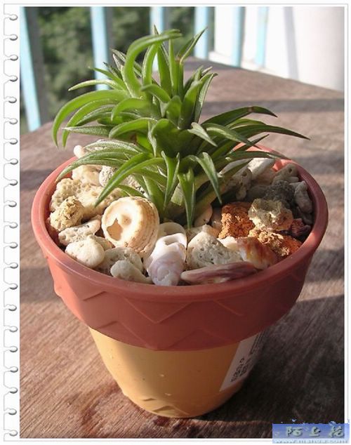 [����]������������������(P9�к���ζ��Ŷ����)