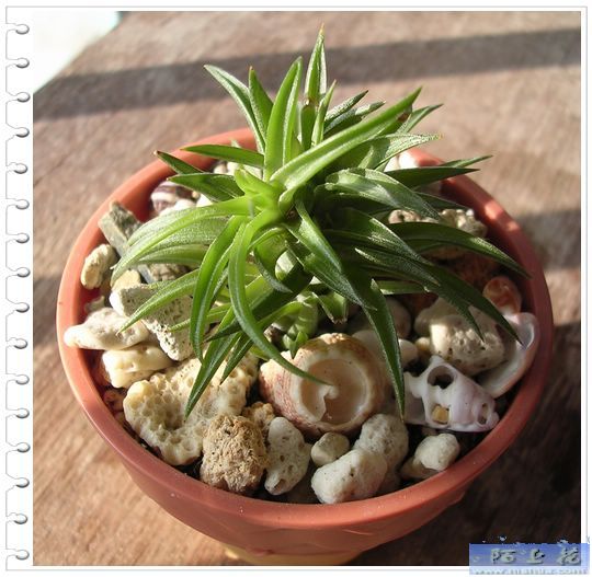 [����]������������������(P9�к���ζ��Ŷ����)