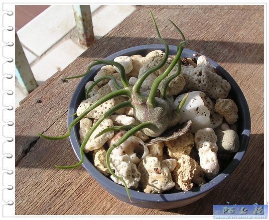 [����]������������������(P9�к���ζ��Ŷ����)