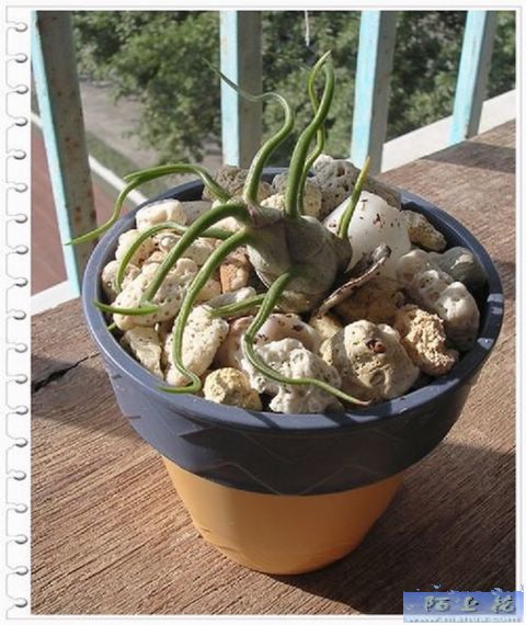 [����]������������������(P9�к���ζ��Ŷ����)