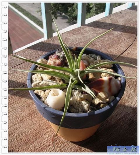 [����]������������������(P9�к���ζ��Ŷ����)