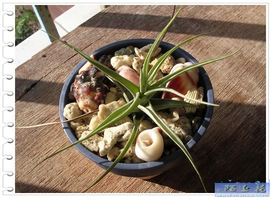 [����]������������������(P9�к���ζ��Ŷ����)