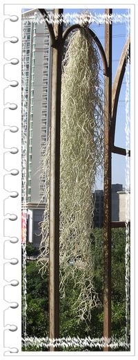 [����]������������������(P9�к���ζ��Ŷ����)