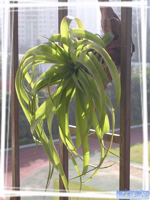 [����]������������������(P9�к���ζ��Ŷ����)