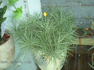 [����]������������������(P10���d������)