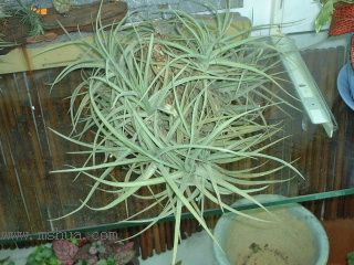 [����]������������������(P10���d������)