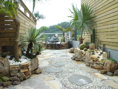 ��һ�ƣ���һ��������Ŀ��������˳�