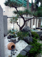 ��һ�ƣ���һ��������Ŀ��������˳�