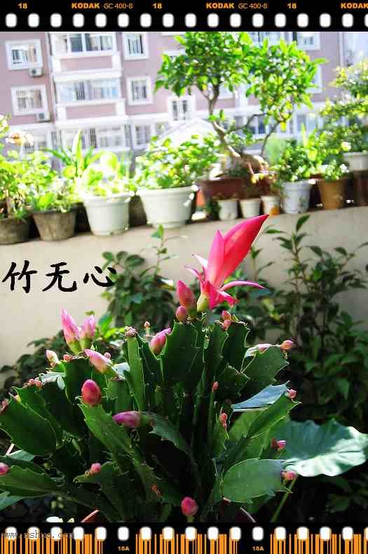 ������зצ����