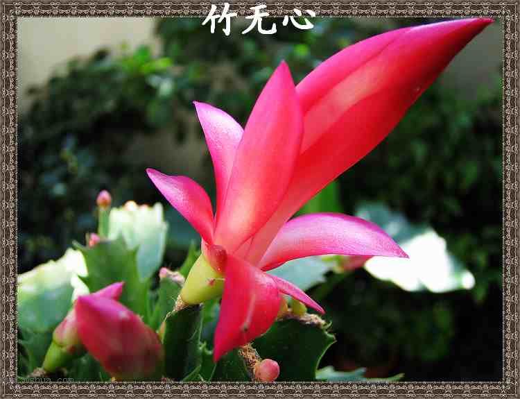 ������зצ����