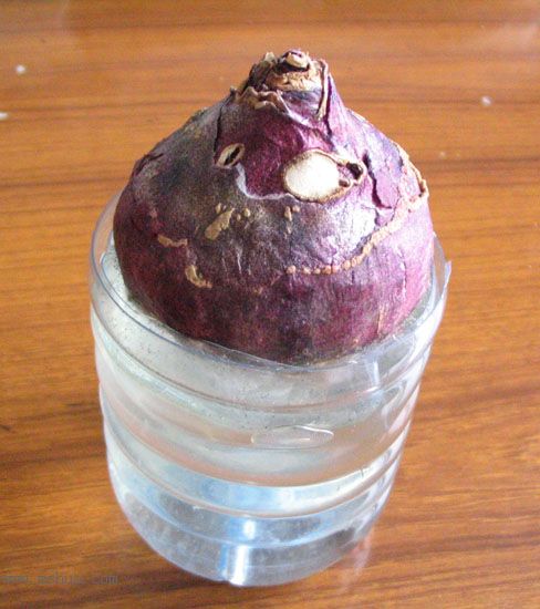 [�칫������ϵ��]ˮ��ķ�����