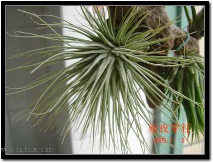 ���ڿշ��ճ��������������