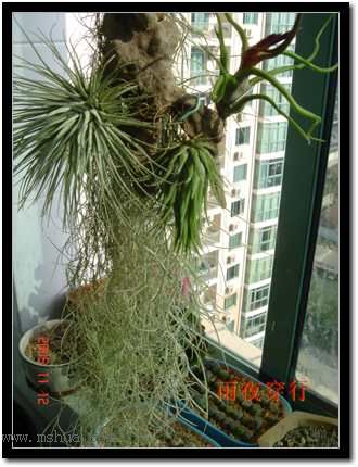 ���ڿշ��ճ��������������