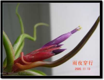 СС�շ�԰��updated 1113��