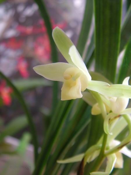 ���꿪���Ĺ���