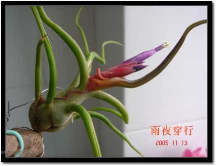 СС�շ�԰��updated 1113��