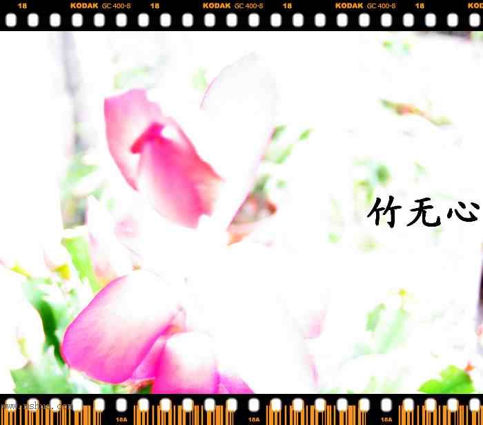 ������зצ����