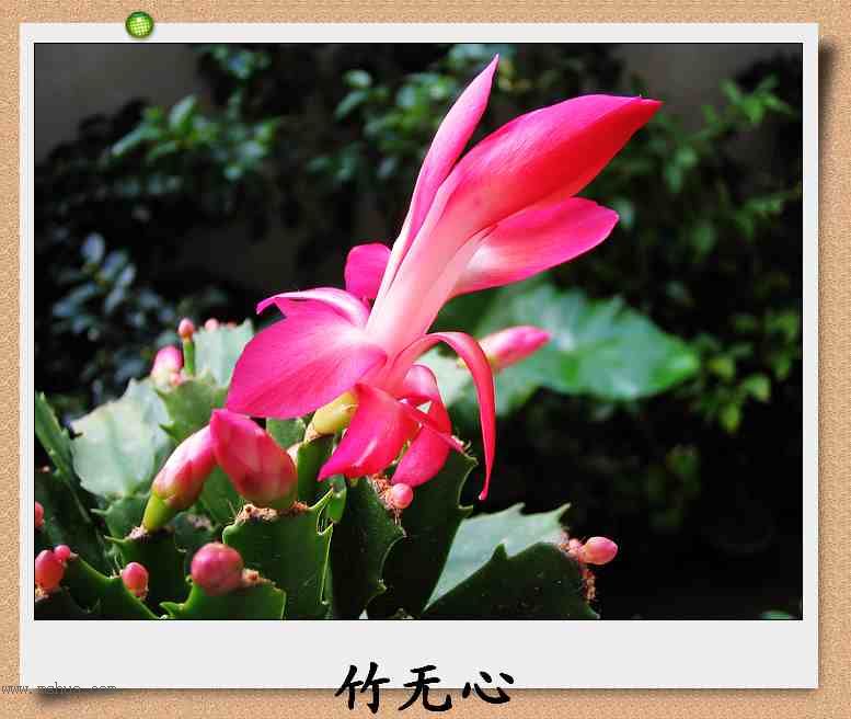 ������зצ����