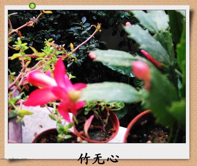 ������зצ����