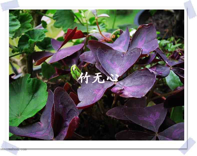 һ����졣��